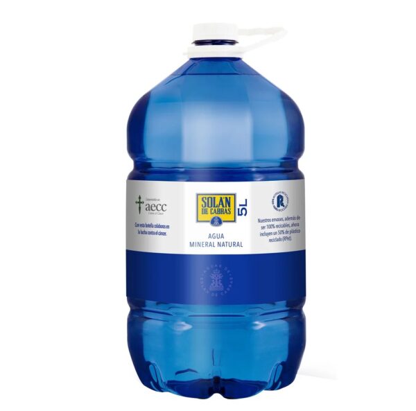 20 Botellas Solan de Cabras 5L